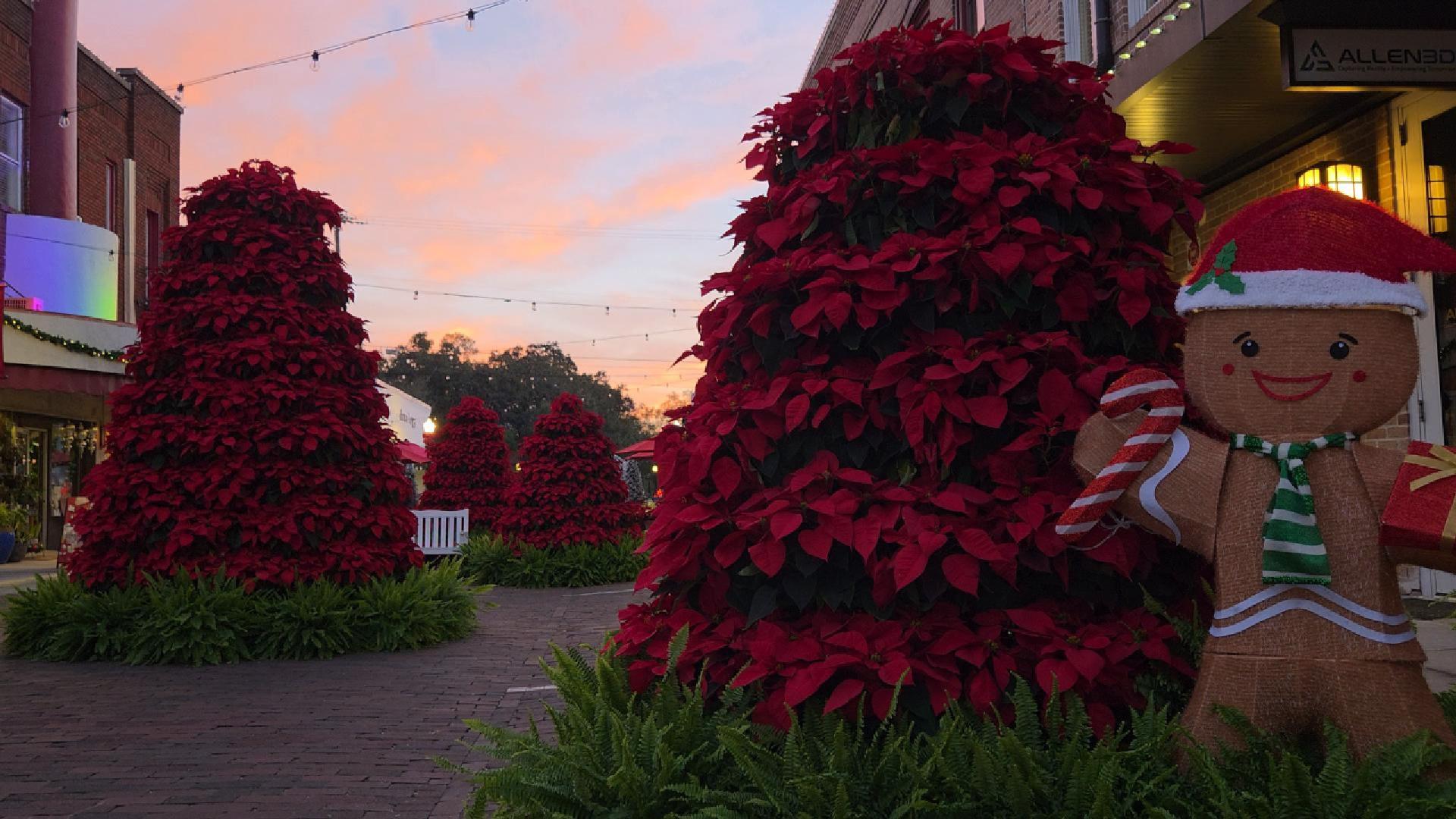 Why Winter Garden Might Be Florida’s Most Magical Hidden-Gem Holiday Town